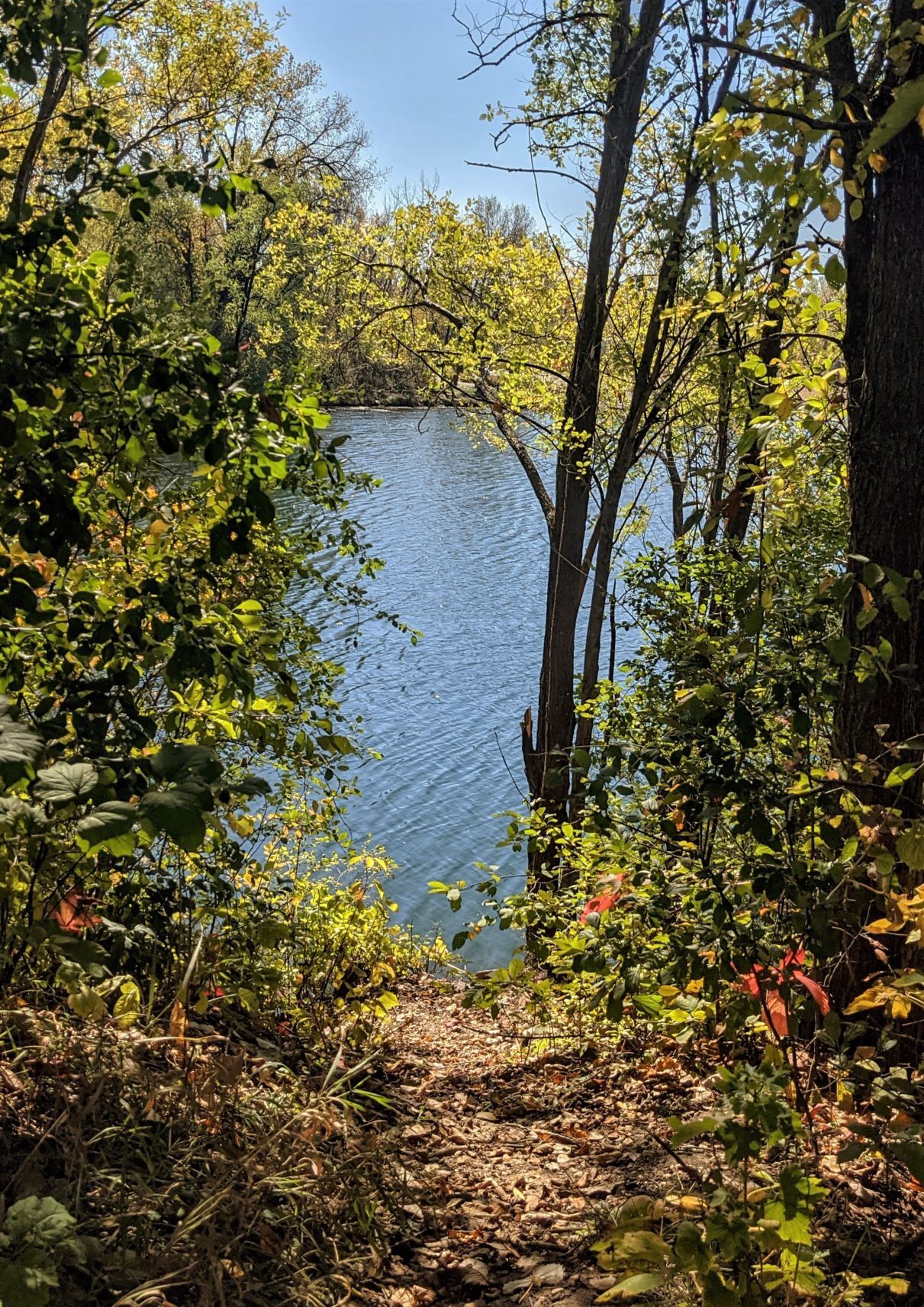 Fall in Mason City - lake